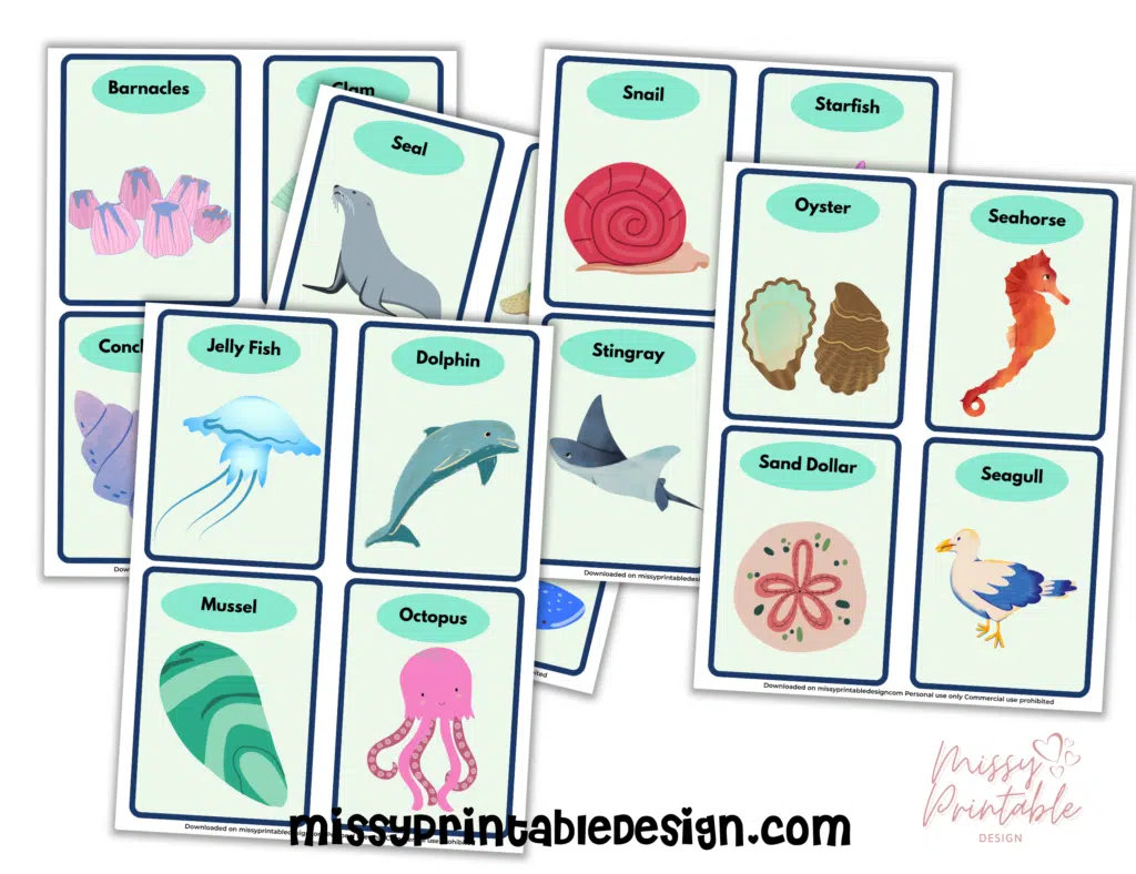 Free Printable Ocean Animals Flashcards