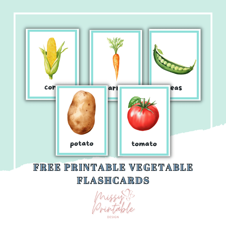 Free Printable Vegetable Flashcards - MissyPrintableDesign